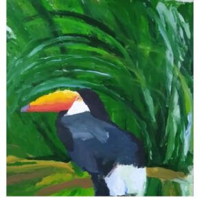 Tucano